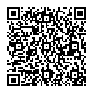 虽然明知道以等离子体细胞为基础构成的闪电生命不可能有碳基智慧生命这样的社会形态二维码生成