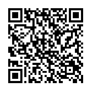 虽然昨天晚上我们几个主演已经把剧本大概对了几遍二维码生成