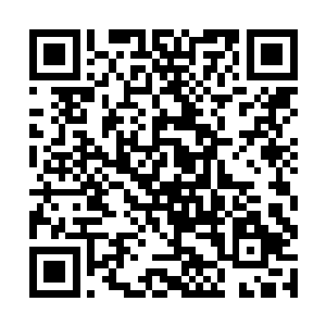 虽然暂时这个小家伙还没有给她带来什么行动的不便二维码生成