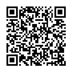 虽然有不少人找到龙战表示要找乌溪族的人报仇二维码生成