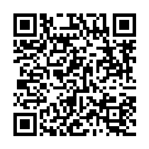 虽然有宫人撑着大雨帐可还是能被狂风刮进来的雨丝淋到二维码生成