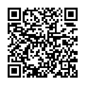 虽然有很多人全都录制了当时夏天灭杀向怪物的视频二维码生成