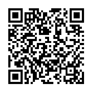虽然有着几股不明势力的人来到明珠确认苏凡的死于活二维码生成
