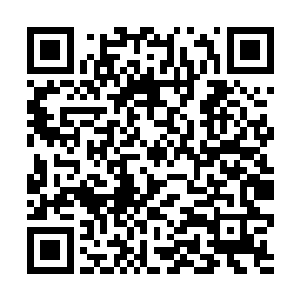 虽然李奇也很想得到想高衙内这种出手豪爽的大客户二维码生成