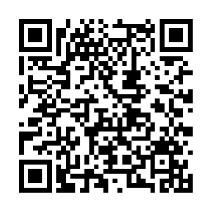 虽然李奇利用这次件事消除了士大夫的一部分权益二维码生成