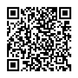 虽然梓城县内也有一些具有一定规模和市场占有率的本土企业二维码生成