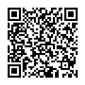 虽然此时许紫烟又诡异地爆发出圣级九层后期巅峰的修为二维码生成