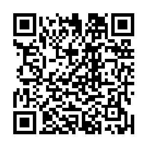 虽然此时距离荣耀至死专辑宣传期结束才不过一个月而已二维码生成