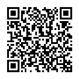 虽然每一个个体的寿命只有短短几秒钟甚至几微秒二维码生成