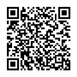 虽然每一颗铁胎果的生成都需要比前一颗铁胎果更多的打击力量二维码生成