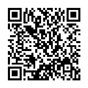 虽然比起那些真正擅长水木灵气的弟子还差得远二维码生成