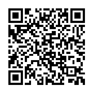 虽然活了无尽岁月的他们并没有听说过圣羽虎皇二维码生成