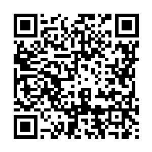 虽然灵兽对于普通妖兽来说在品阶上有绝对的压制二维码生成