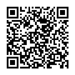 虽然焚天兽王的实力对现在的他来说已经算不上什么二维码生成