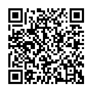 虽然特意把头发剃到了最短还是不能掩盖他是个小卷毛的事实二维码生成