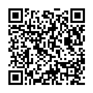 虽然特洛伊对加布里埃拉从头到尾只有在脸颊上的轻轻一吻二维码生成