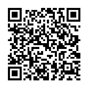 虽然现在夏天他们还不知道这个焚骨之地究竟是被什么控制二维码生成