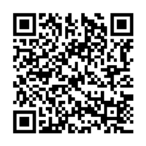 虽然理智告诉他这时候应该紧紧跟在雷林大人身后二维码生成