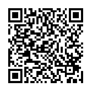 虽然省委副书记兼昌州市委书记莫计成一上任就显得很强势二维码生成
