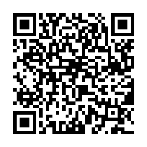 虽然省委组织部长跟他握手说的是一些官场上的套话二维码生成