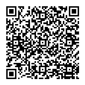 虽然看不到这人的表情　但是赵纯良可以肯定的是　这一副墨镜的后面　绝对是一双坚韧的眼睛二维码生成