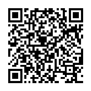 虽然看得出作者已经极尽努力地想要让情节生动曲折二维码生成