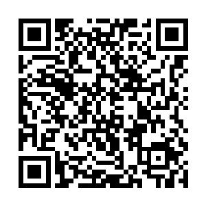 虽然眼前端上来的是光昭帝最喜欢的米粥和糖炒腰果二维码生成