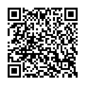 虽然知道那两个雄性对自家染儿不是特殊的感情二维码生成