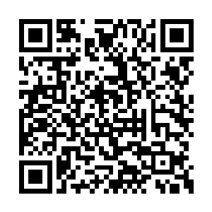 虽然绝大部分被裹挟来的奴兵和新兵都没有经验二维码生成