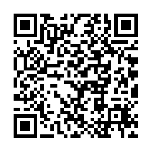 虽然聂秋希望唐天能够给零部的成长争取到足够的时间二维码生成