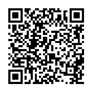 虽然自己还没卑鄙到故意让他们去当炮灰的程度二维码生成