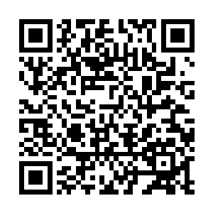 虽然自己这徒弟说过要是自己和秦宇对上会站在自己这边二维码生成