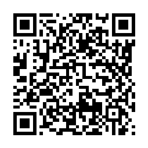 虽然自慕容玥的口中听说了柳姨娘为了给自己报仇二维码生成