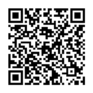 虽然衔尾蛇之环内部也有一些克制情绪化的手段和药剂二维码生成