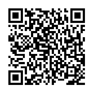 虽然要冒着整颗星球的磁场和大气环境都受到毁灭性影响的风险二维码生成