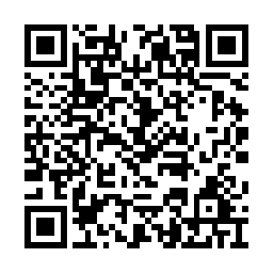虽然觉得凭借那人的力量也无法阻止眼前的颓势二维码生成