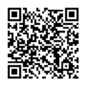 虽然觉得楚老爷子有给自己和楚芊芊拉红线的意思二维码生成