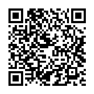 虽然许紫烟不知道一百多个破碎大陆上究竟有多少人族二维码生成