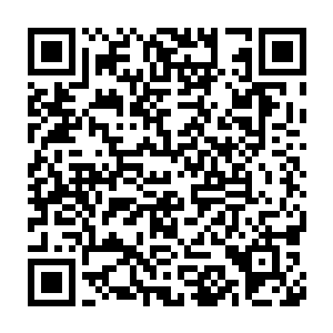 虽然说之前的时候他已经得到了消息龙傲天这一行人中有高手的存在二维码生成