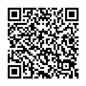 虽然说之前的时候已经意料到了杨戬十分的强悍二维码生成