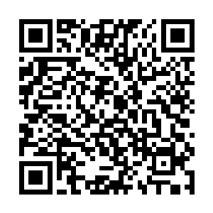 虽然说之前的时候杨戬已经有了绝对的把握治好若曦二维码生成