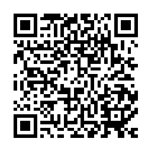 虽然说从蓝绍军的记忆之中对丹玄宗的了解并不是特别的全面二维码生成