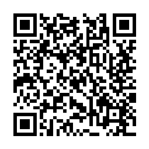 虽然说他们现在的修为已经成为了仙界的一方高手二维码生成
