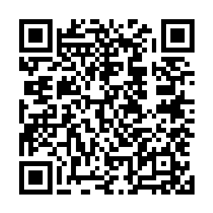 虽然说分身已经陨落了但是分身的记忆却是被龙傲天吸收了二维码生成