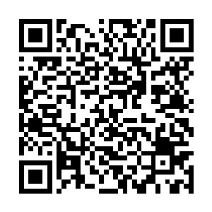 虽然说她不知道龙傲天的具体的修为有多么的强大二维码生成