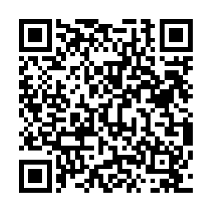 虽然说对方因为犯规可能吃牌最终被罚下场的可能也是有的二维码生成