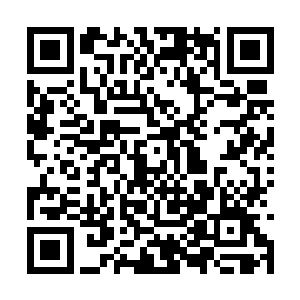 虽然说当初的时候岩之一族的皇者在大战之中陨落二维码生成