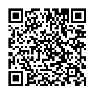 虽然说早就知道龙傲天的出手肯定不会是平凡的货sè二维码生成