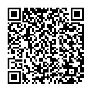 虽然说杨戬从一个普通人成长到现在一个元婴中期的高手已经算是十分的恐怖了二维码生成