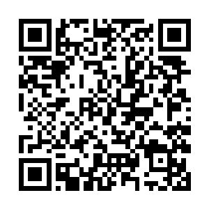 虽然说此时龙傲天的修为依旧是只有五转大帝的程度二维码生成